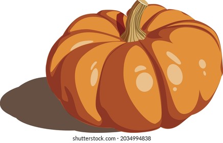 vector image of ripe red pumpkin