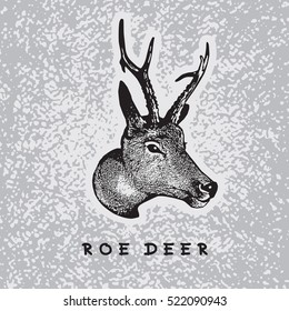 Vector image of Roe Deer head.
Illustration for hunting or zoo theme. The image was processed after auto tracing. Easy to edit.