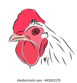 Vector image of a rooster on a white background. Silhouette / cock contour drawn by hand.