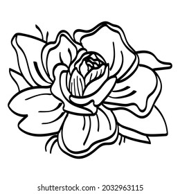 Vector image of a rose flower. Botanical illustration. Design for prints, tattoos, stickers, postcards, logos.