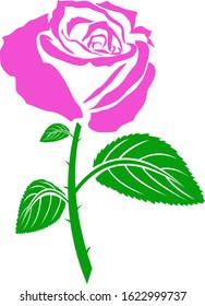 
vector image of a rose, hopefully it can make a good inspiration for flower lovers.