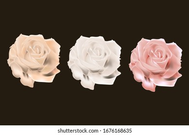 Vector image: roses (beige, pink, white)