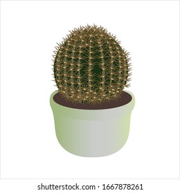 vector image of round cactus in a green pot