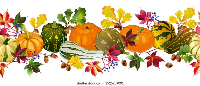 Vector image. Row ornament autumn harvest squash and oaks, oak leaves. Autumn decor, autumn holiday.