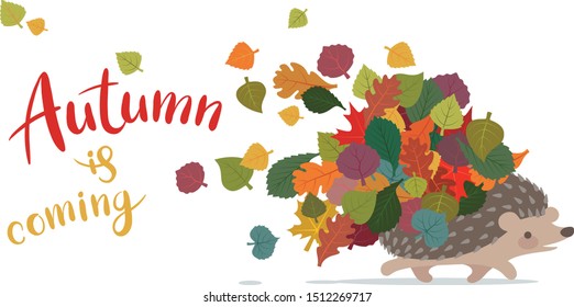 Vector image of a running hedgehog with autumn leaves on the back