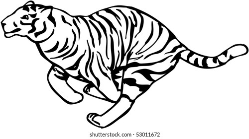 2,924 Tiger running vector Images, Stock Photos & Vectors | Shutterstock