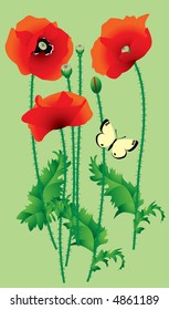Vector image of scarlet poppy with a butterfly