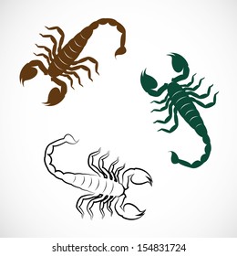 Vector image of an scorpion