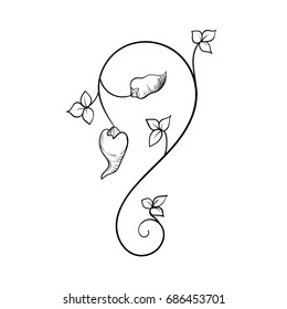 Vector image. Scroll, vegetable curl with peppers. Hand drawn vignette.