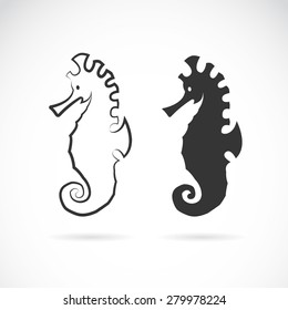 Vector image of an sea horse on white background