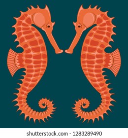 Vector image of sea horses on a blue background.