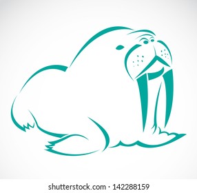 Vector image of an sea lion on a white background