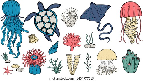 vector image of sea and ocean inhabitants. vector jellyfish, stingray, starfish, sea anemone, coral, pebble, algae, turtle, sea sponge, shell. vector drawing by hand. Bright colours