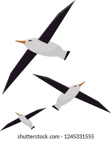 vector image of a seagull
