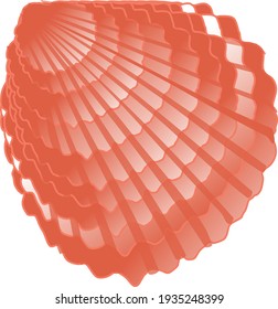 vector image of a seashell 