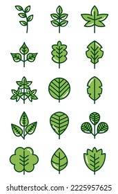 conjunto de imágenes vectoriales de 15 imágenes de plantas y hojas de árboles color verde con fondo blanco
