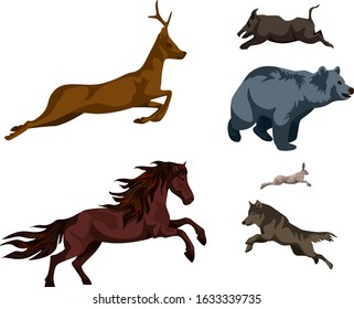Vector image of a set of animals of the European type.