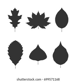 Vector image of a set of autumn leaves icons.