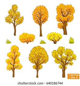Vector image. Set of autumn trees with golden leaves. Realistic trees and shrubs.