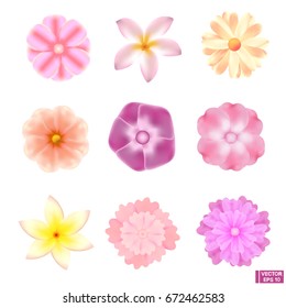 Vector image. Set of beautiful flowers isolated on white background. Pink, beige and lilac flowers.