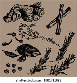 
Vector image, set. Condiments and spices on a background of craft colors. Element for design, clipart.