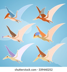 Vector image of a set of different pterosaurs