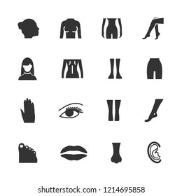 Vector image set of female body parts icons.