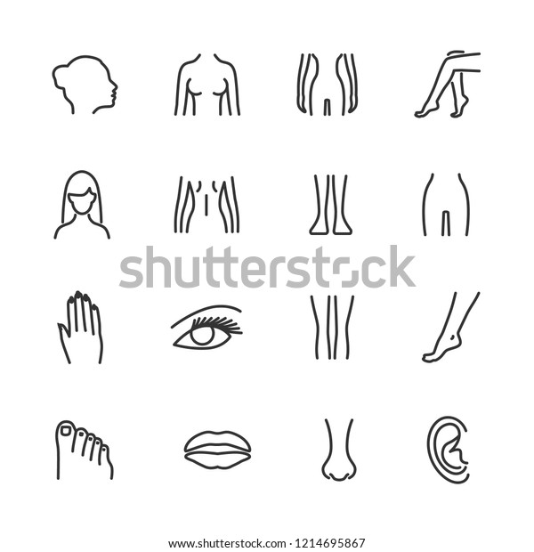 body parts line drawing