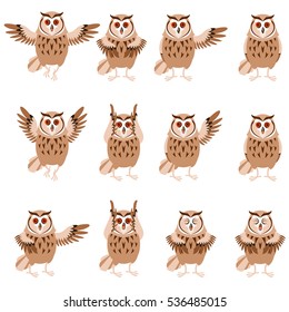 Vector image of the Set of flat brown owl icons