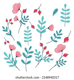 conjunto de imágenes vectoriales de flores de bayas y hojas de cadera