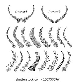 
Vector image. A set of flowers and branches for decoration frames. Detailed drawn plants. natural minimalistic logo