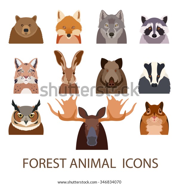 Vector Image Set Forest Animal Flat Stock Vector (Royalty Free ...