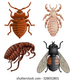 Vector image of set of icons with pests