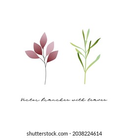 Vector image, set of leaves and branches