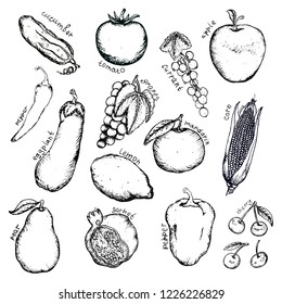 Vector image. A set of products. Different vegetables, fruits and berries drawn by hand.
