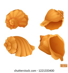 Vector image. A set of sea shell of gold color in different angles.