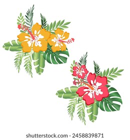vector image
 set of tropical flowers and leaves on transparent background png