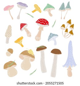 Vector image. Set of various forest mushrooms. The isolated image. Сhanterelle mushroom, porcini mushroom, boletus, morel, honey agarics, fly agarics, toadstools and edible mushrooms.