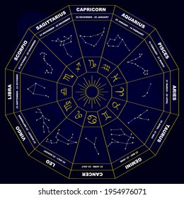 vector image set with zodiac signs and constellations for your project