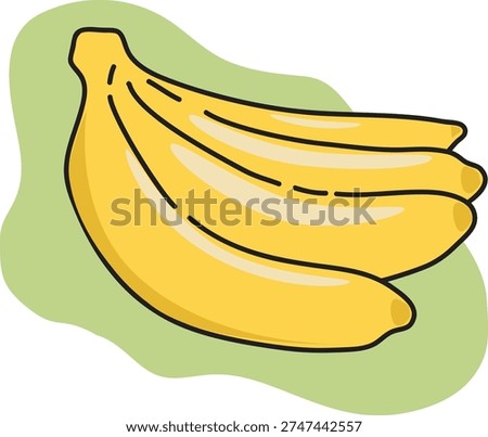 vector image of several ripe, yellow bananas

