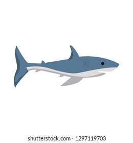 Vector image of a shark on a white background