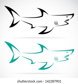 Vector image of an shark on a white background