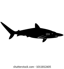 Vector image of a shark silhouette on a white background