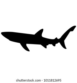 Vector image of a shark silhouette on a white background