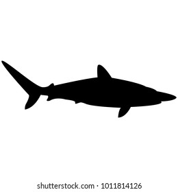 Vector image of a shark silhouette on a white background