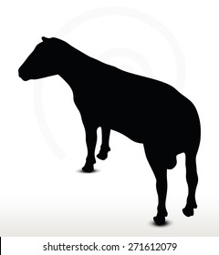 Vector Image - sheep silhouette with looking pose isolated on white background