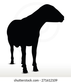 Vector Image - sheep silhouette with looking pose isolated on white background
