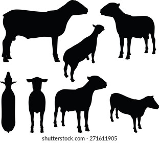 Vector Image - sheep silhouette with standing still pose isolated on white background