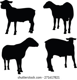Vector Image - sheep silhouette with standing still pose isolated on white background
