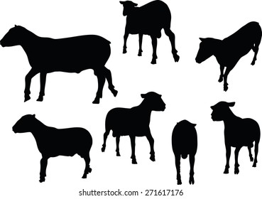 Vector Image - sheep silhouette with trot pose isolated on white background

